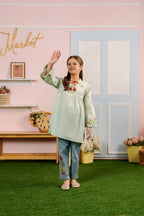 Top Embroidery Pista Frock Girls