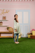 Top Embroidery Pista Frock Girls