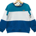 Three Penal C-Green & Blue Sweatshirt Boys ( R-256N )