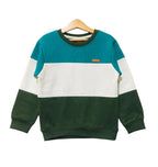 C-Green & Green Sweatshirt Boys ( R-58 )