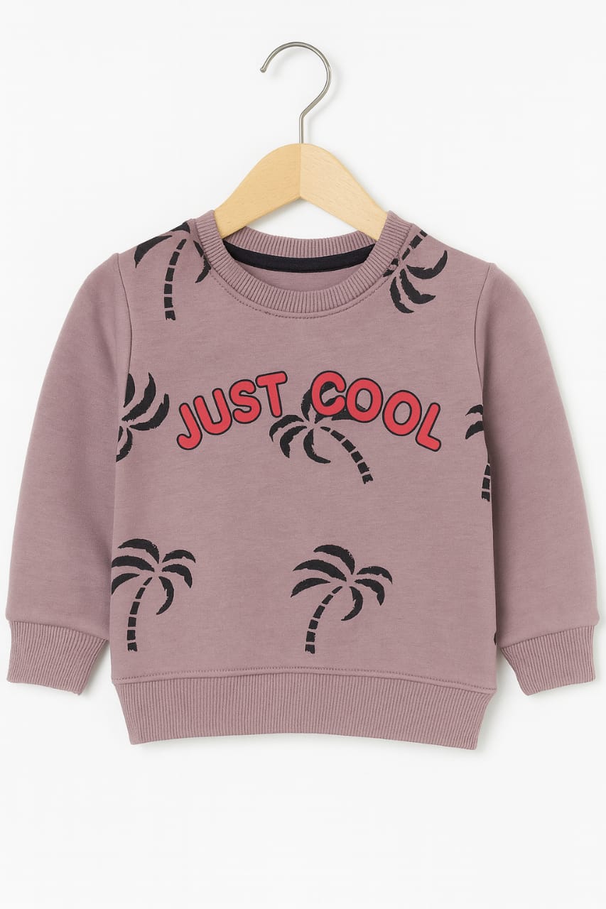 Just Cool Falsa Sweatshirt Boys