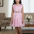Fancy Baby Pink Frock Girls (R-466)