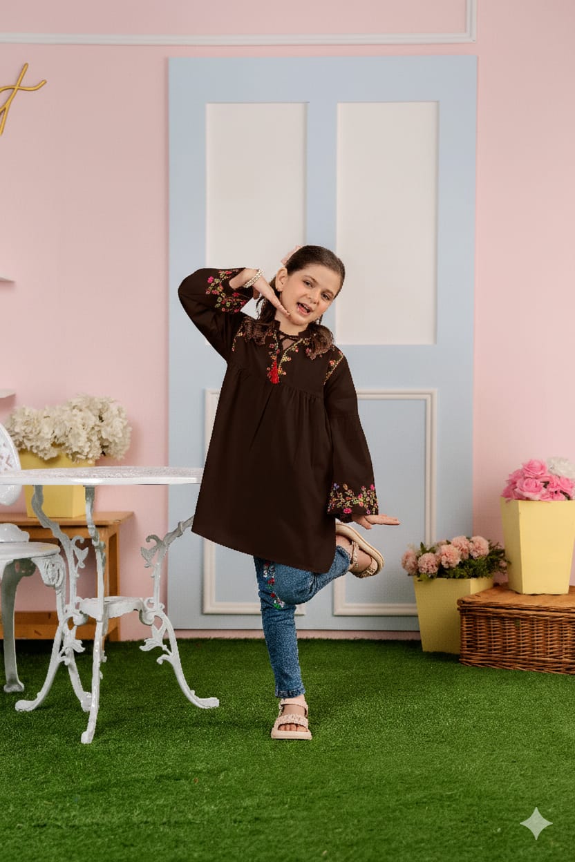 Top Embroidery Chocolate Frock Girls