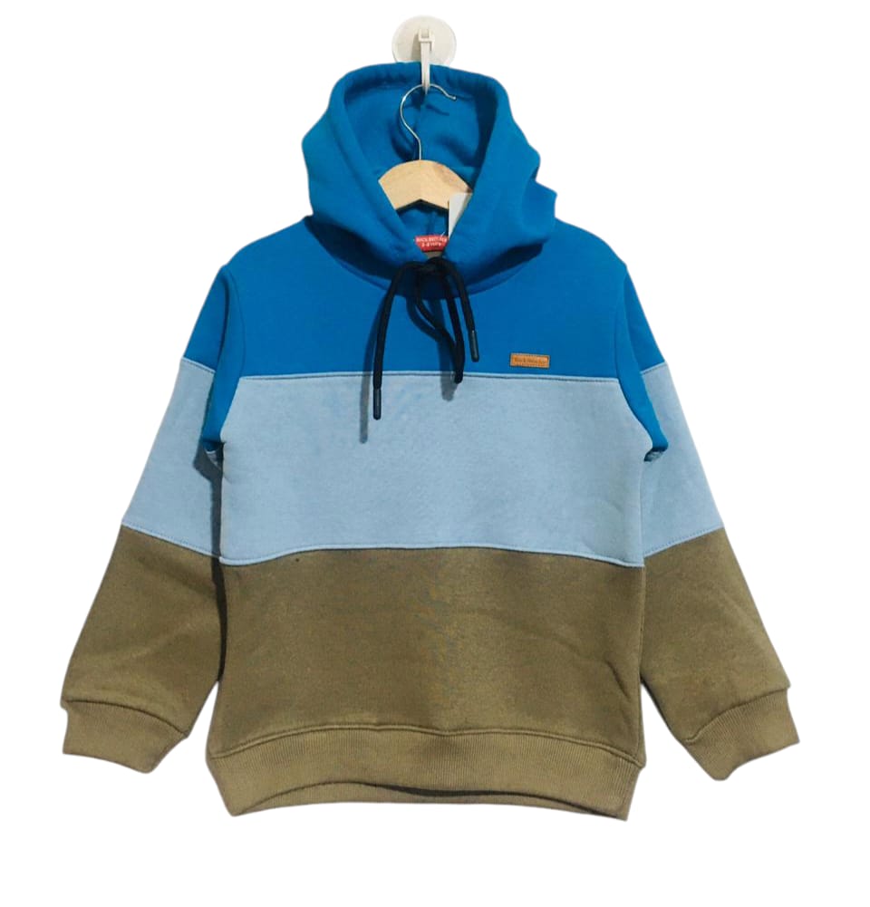 Three Penal Royal Blue & Mehndi Hoodies Boys ( R-39 )